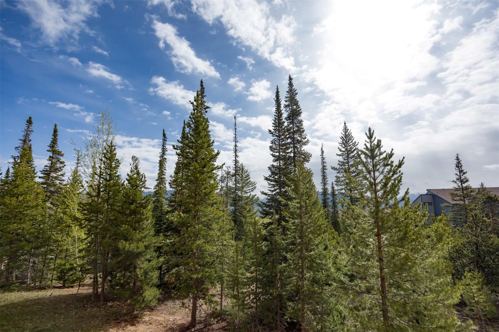 91100 Ryan Gulch Road, Unit 91105 Silverthorne, CO 80498 - Photo 20 of 49 a view of a city with lush green forest
