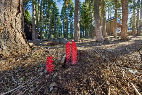 $275,000 | 13531 Weisshorn Avenue, Truckee, CA 96161