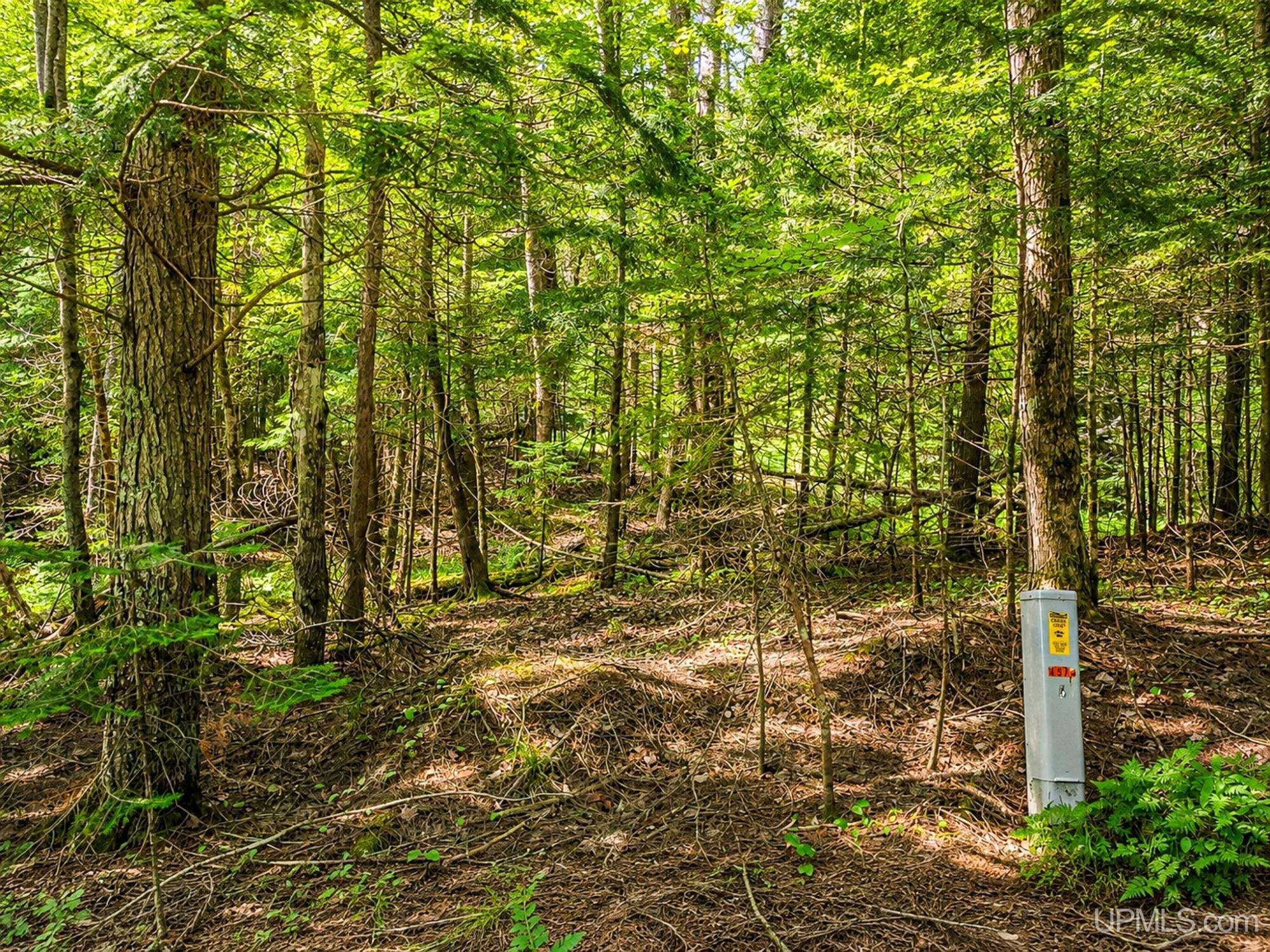 Lot 4 State Line Lake Road East Marenisco, MI 49947 - Photo 10 of 16