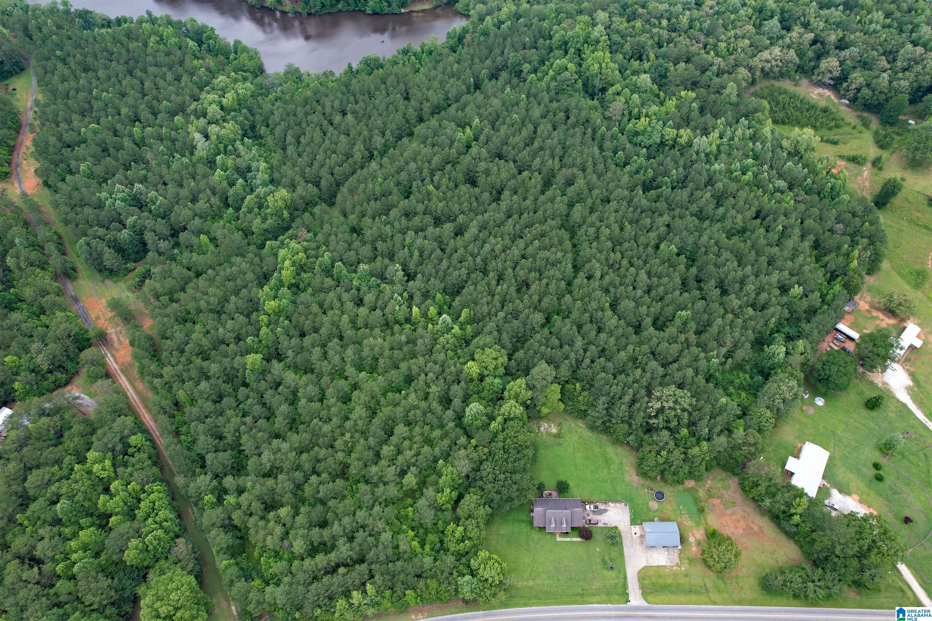 0 Houston Road Sylacauga, AL 35151 - Photo 3 of 32