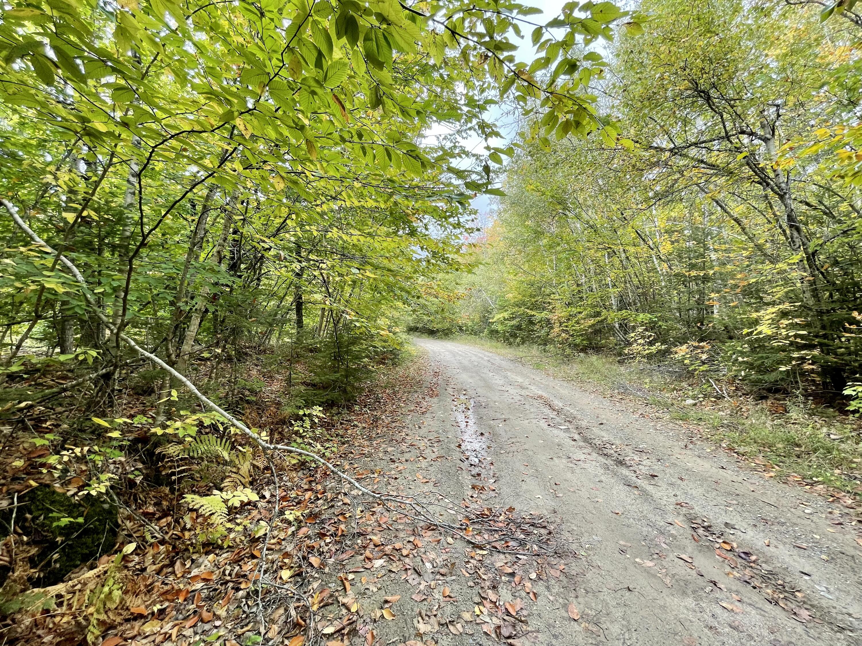 Lot 7 Ham Drive Springfield, ME 04487 - Photo 7 of 7 A1FDB1D1-739C-4404-8C03-D060A8EB5958