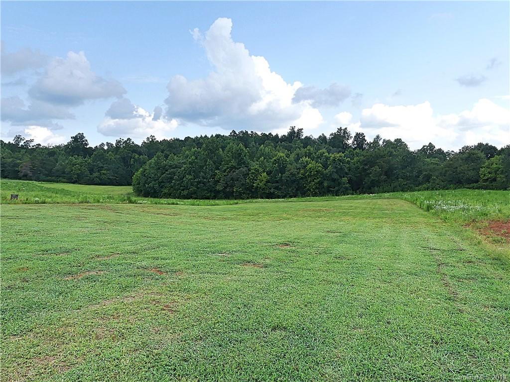 3931 Ritchie Road Lincolnton, NC 28092 - Photo 43 of 48 Gallery Image 43