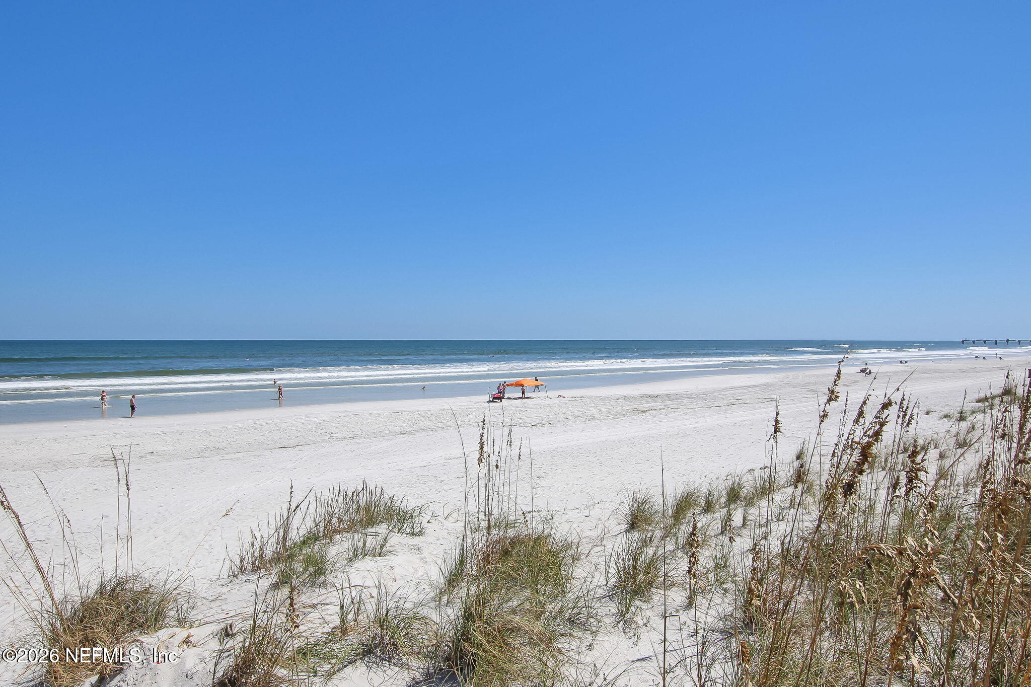 1415 1st Street North, Unit 801 Jacksonville Beach, FL 32250 - Photo 91 of 99 69-web-or-mls-Oceania Hi-Res (5)
