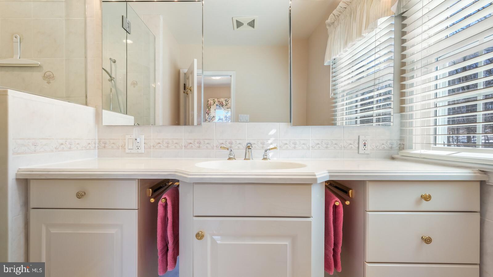 5754 South Deer Run Road Doylestown, PA 18902 - Photo 26 of 53 Owners Bathroom