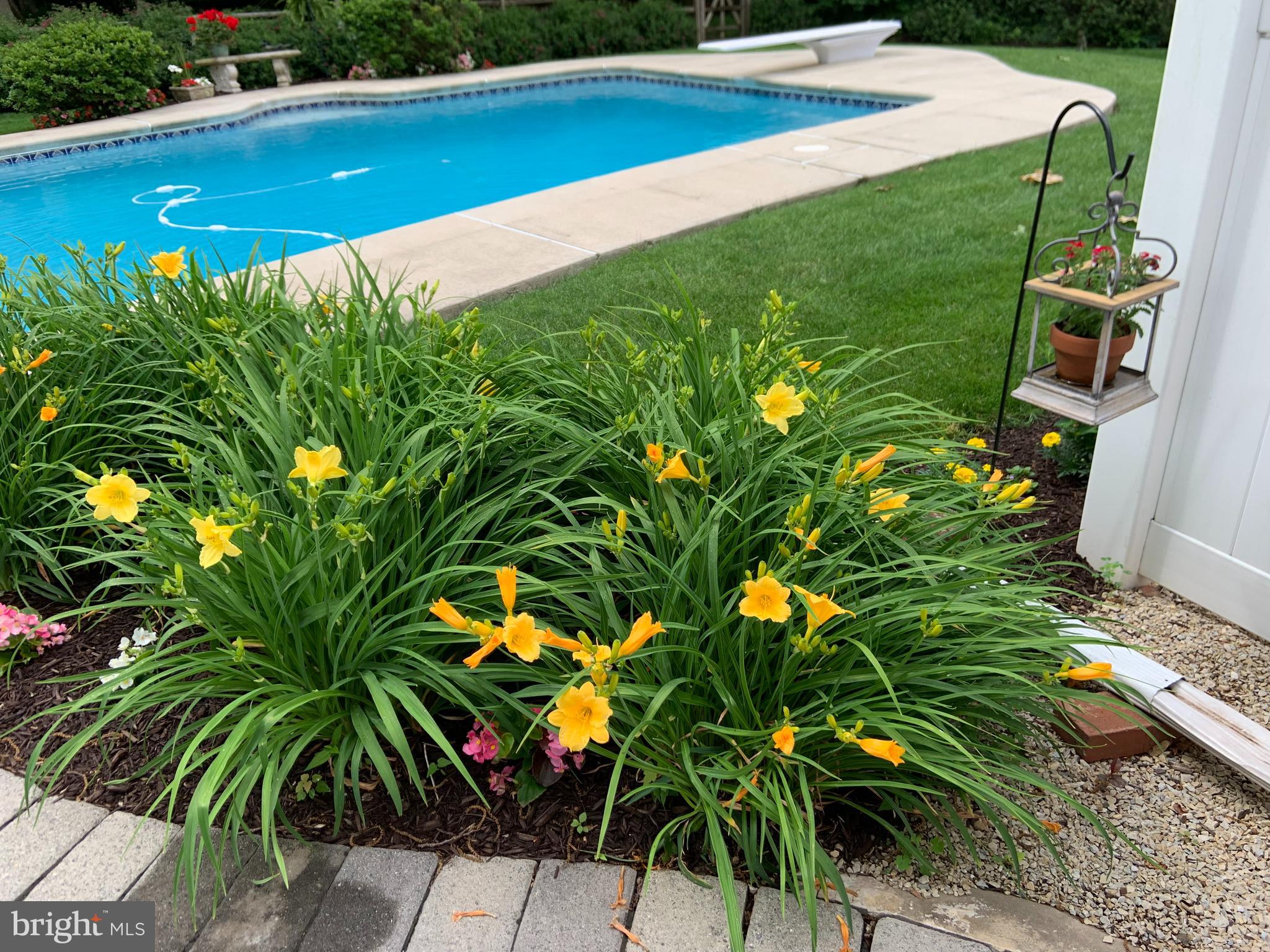 5754 South Deer Run Road Doylestown, PA 18902 - Photo 43 of 53 Pool