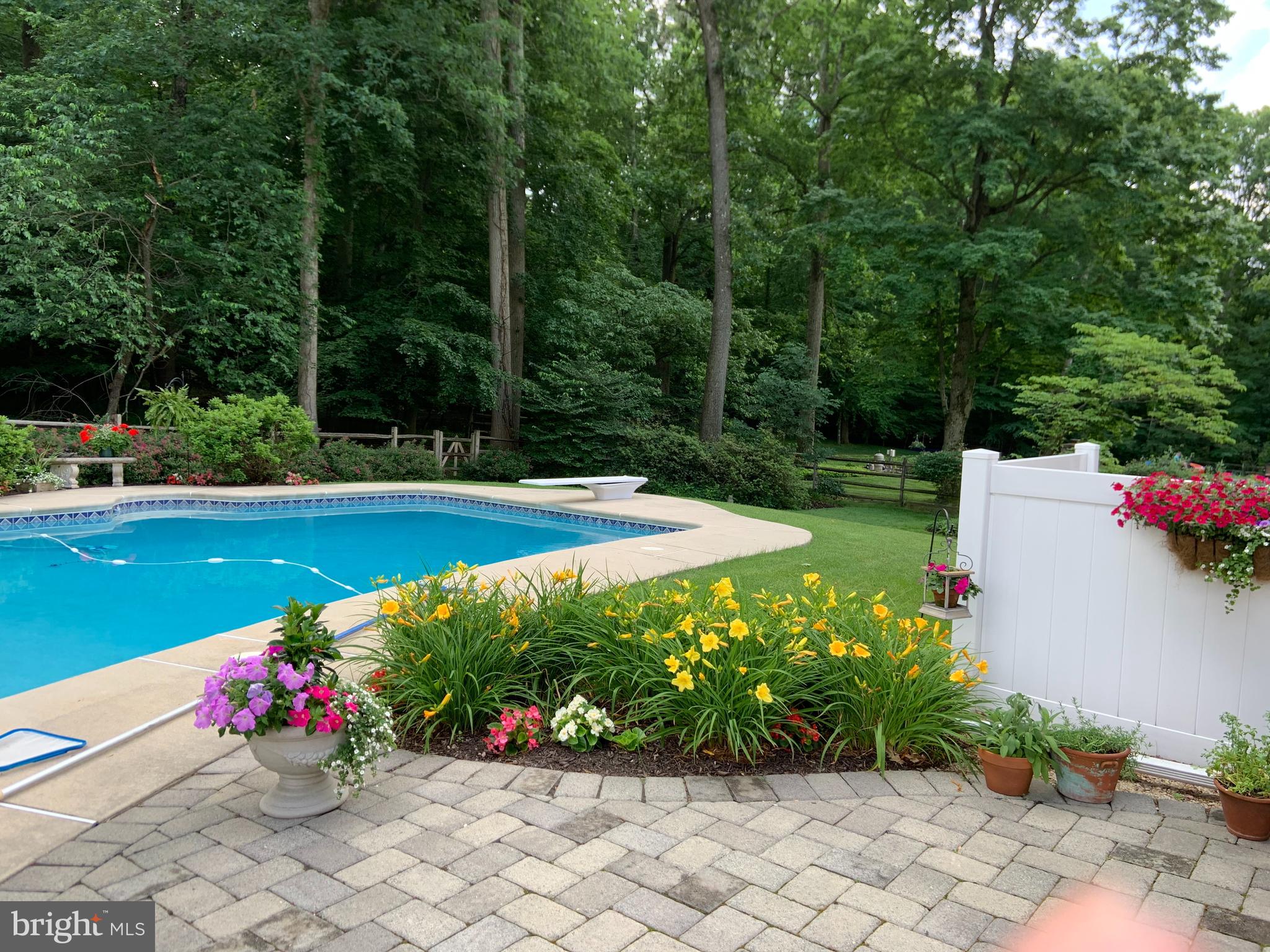 5754 South Deer Run Road Doylestown, PA 18902 - Photo 44 of 53 Pool