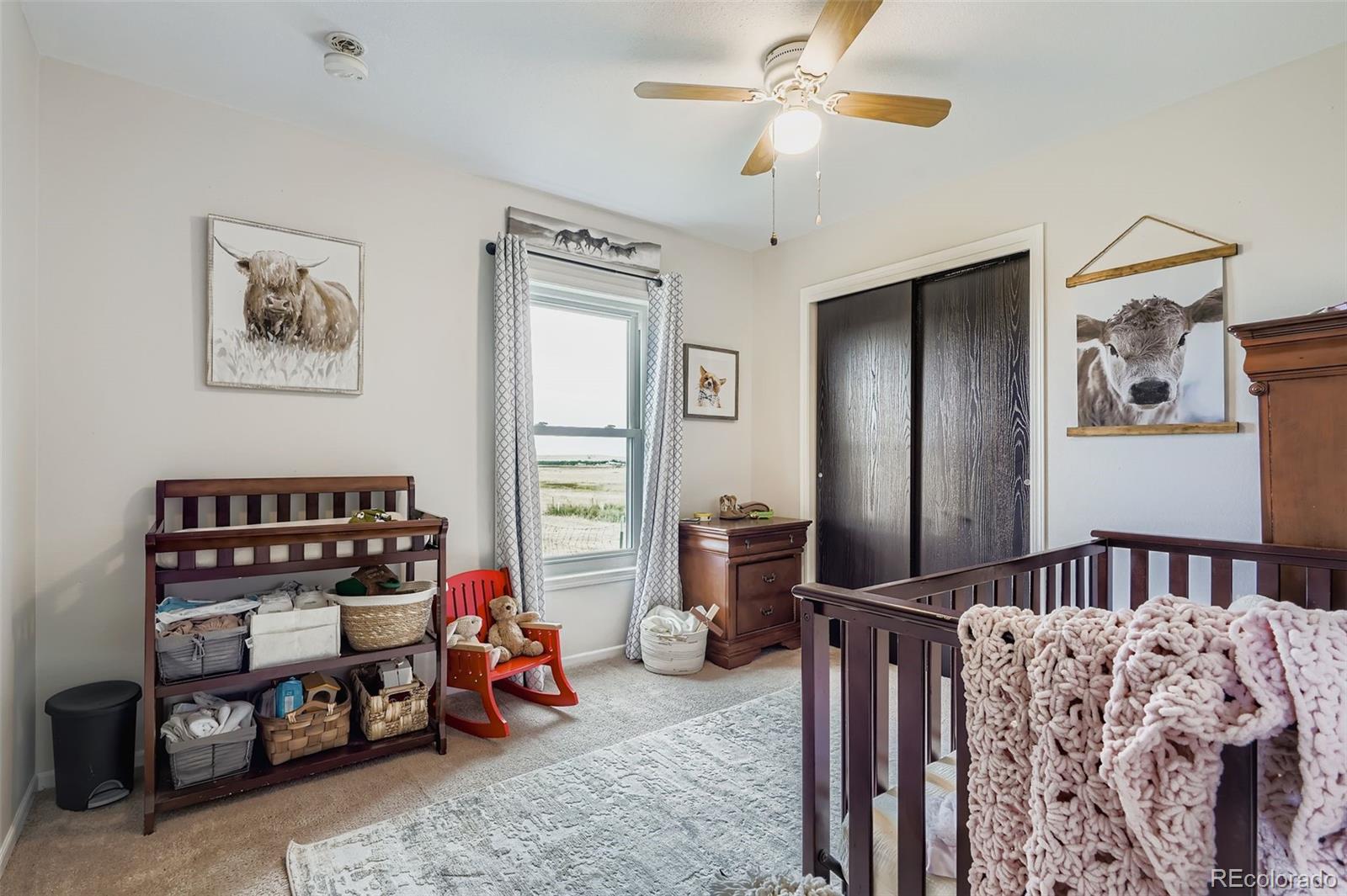 26540 Flower Circle Simla, CO 80835 - Photo 21 of 40 a bedroom with furniture and a fan