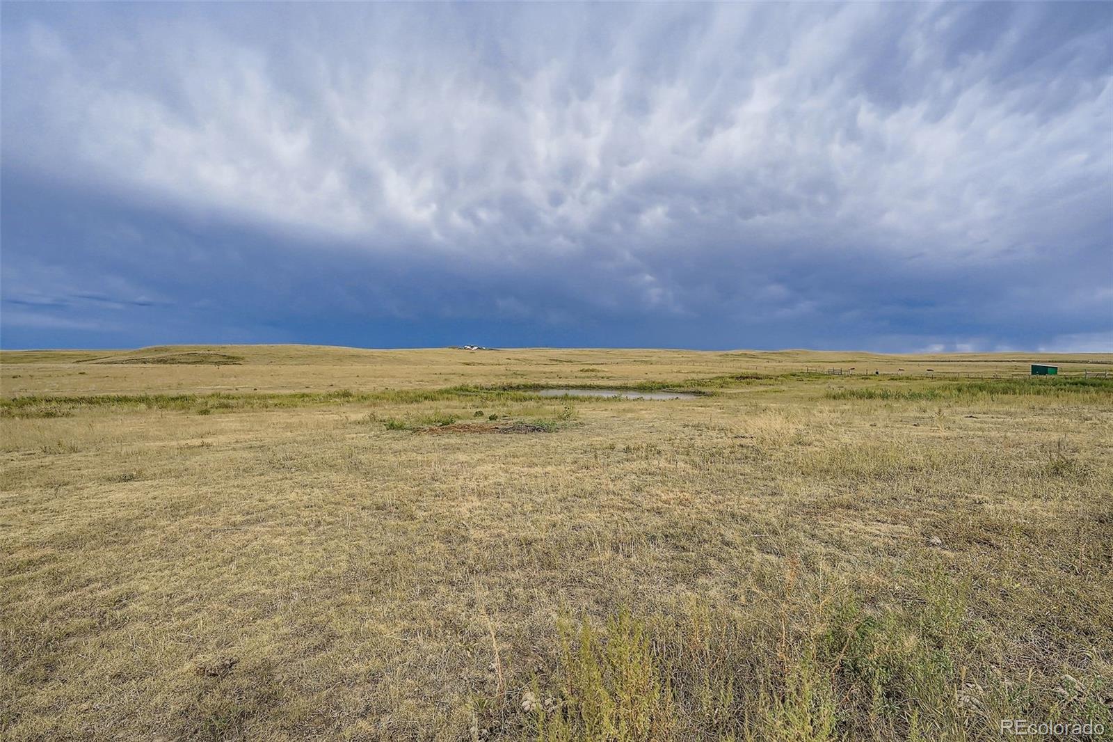 26540 Flower Circle Simla, CO 80835 - Photo 8 of 40