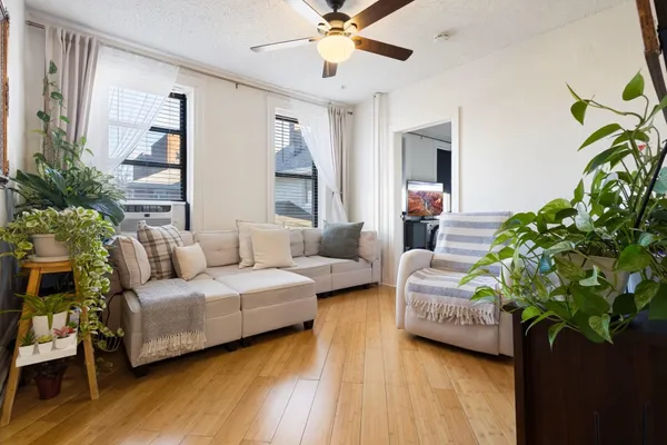 a living room with furniture and a potted plant