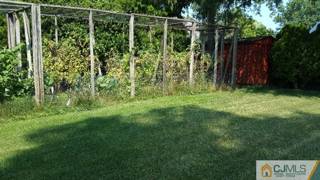 32 Peru Street Edison, NJ 08820 - Photo 24 of 25 a backyard of a house with lots of green space and plants