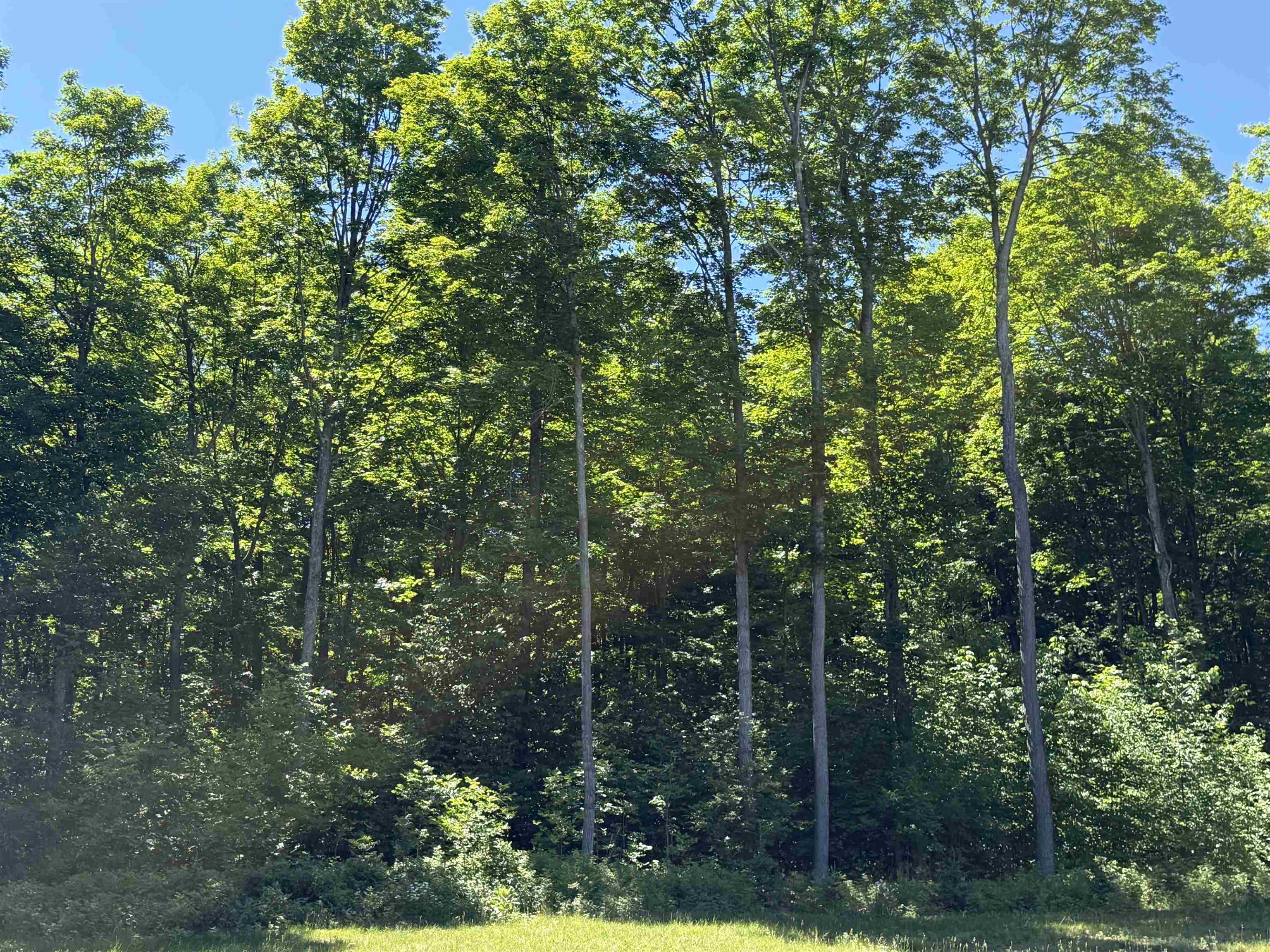 9233 Covert Road Northeast Mancelona, MI 49659 - Photo 13 of 15 1946990-fb3b28da-acc0-409c-901e-a3c636e87b9f.JPG