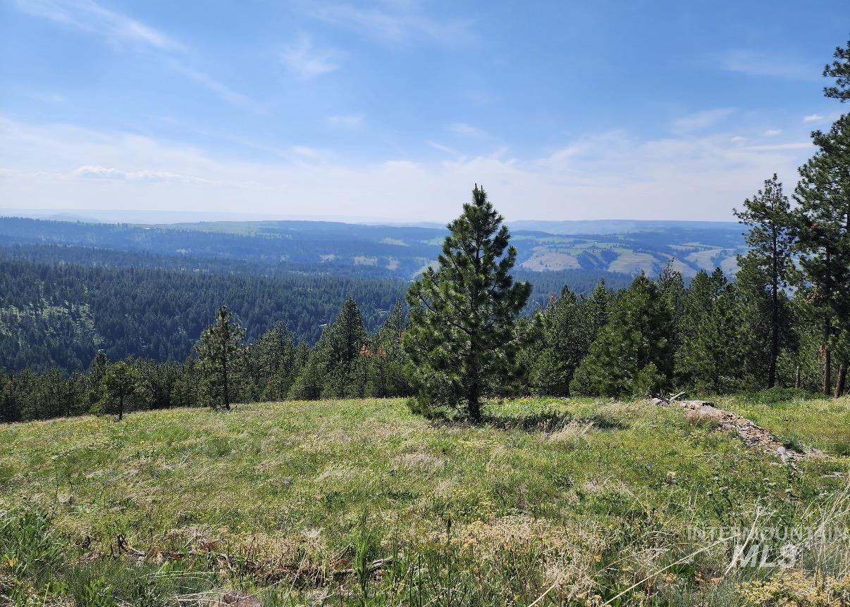 Lot 91 Pilgrim Ridge Road White Bird, ID 83554 - Photo 1 of 35