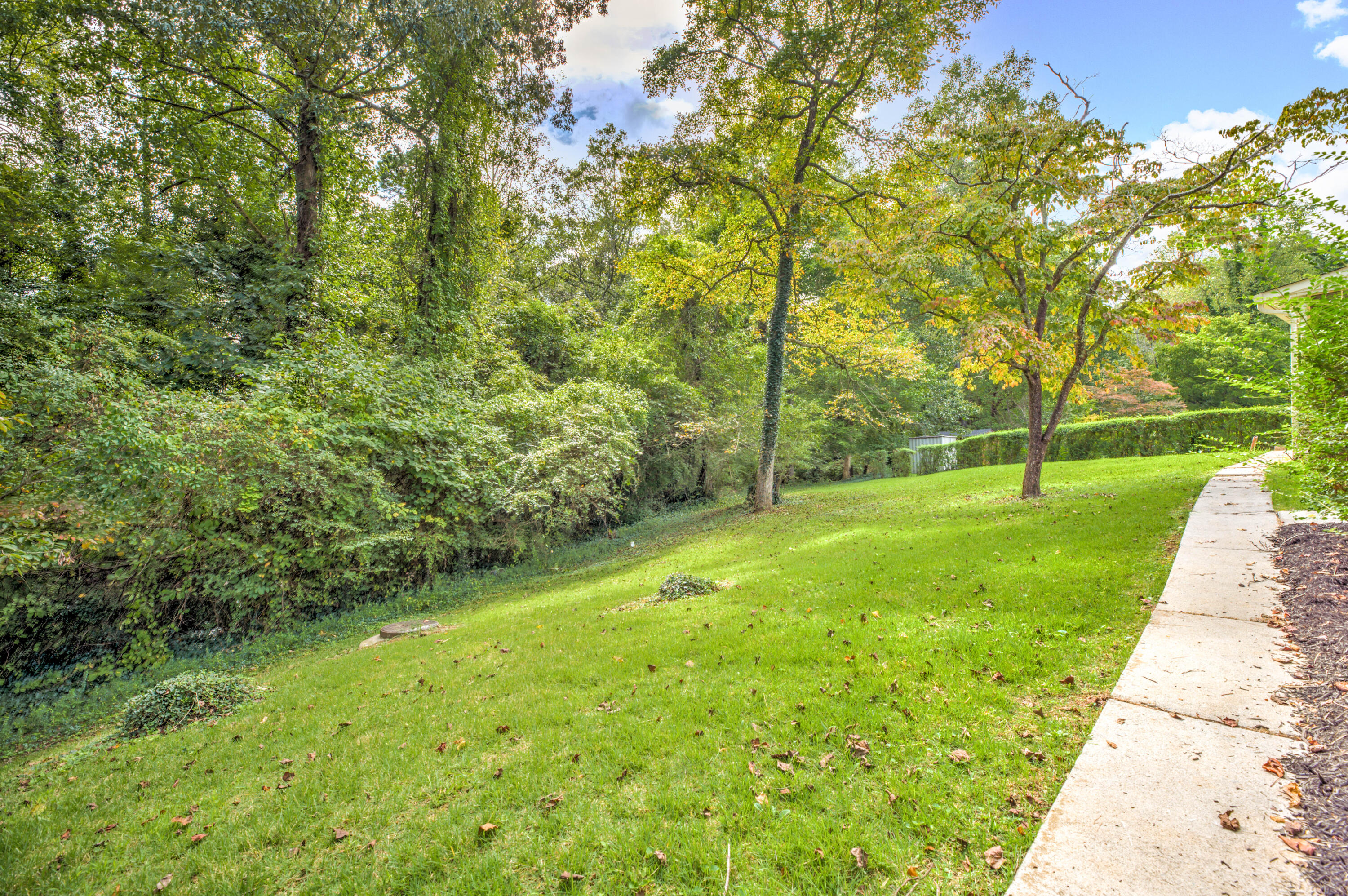 240 Alhambra Road Oak Ridge, TN 37830 - Photo 4 of 38 Side yard