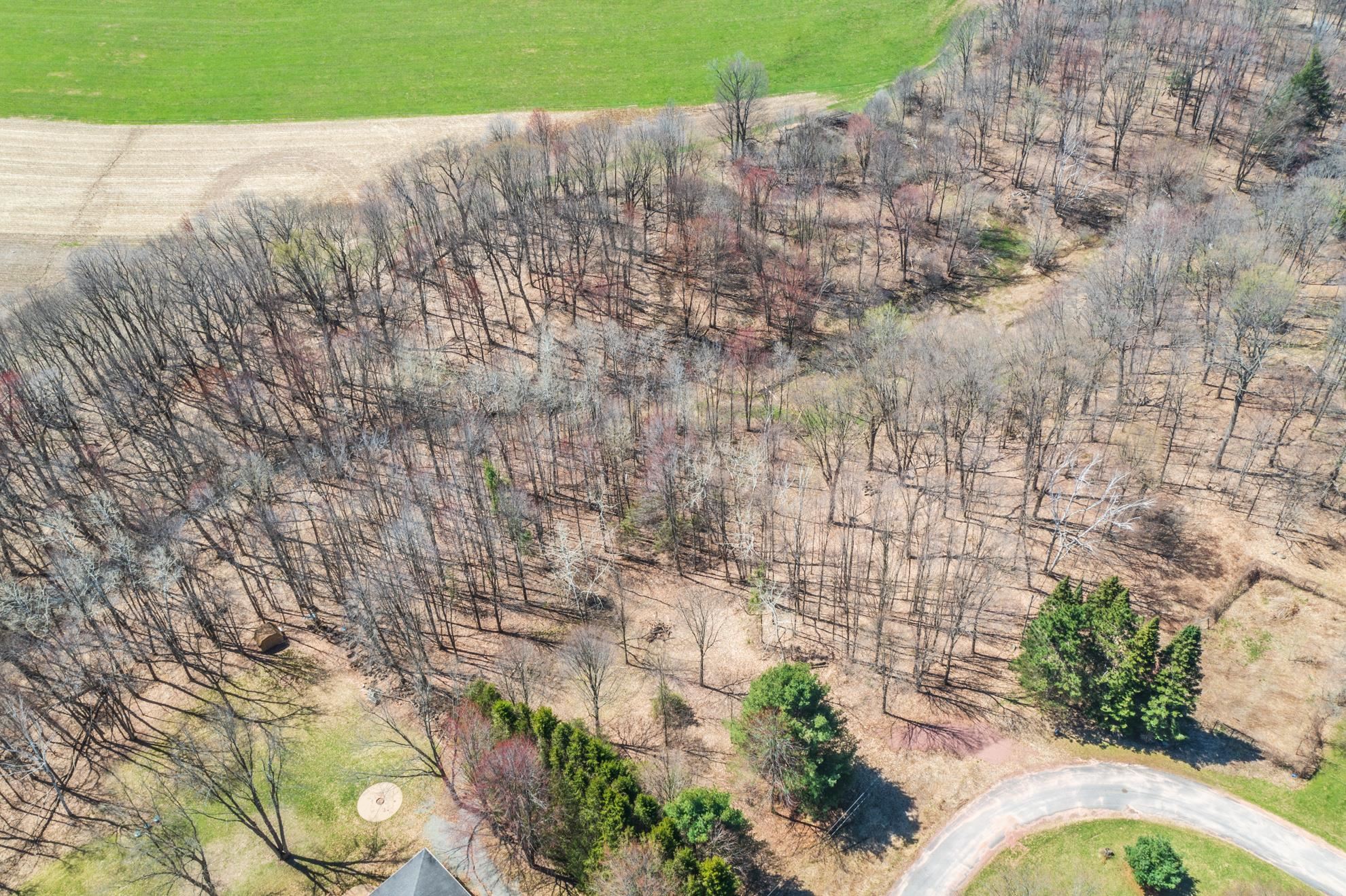Canyon Road Wausau, WI 54403 - Photo 13 of 26