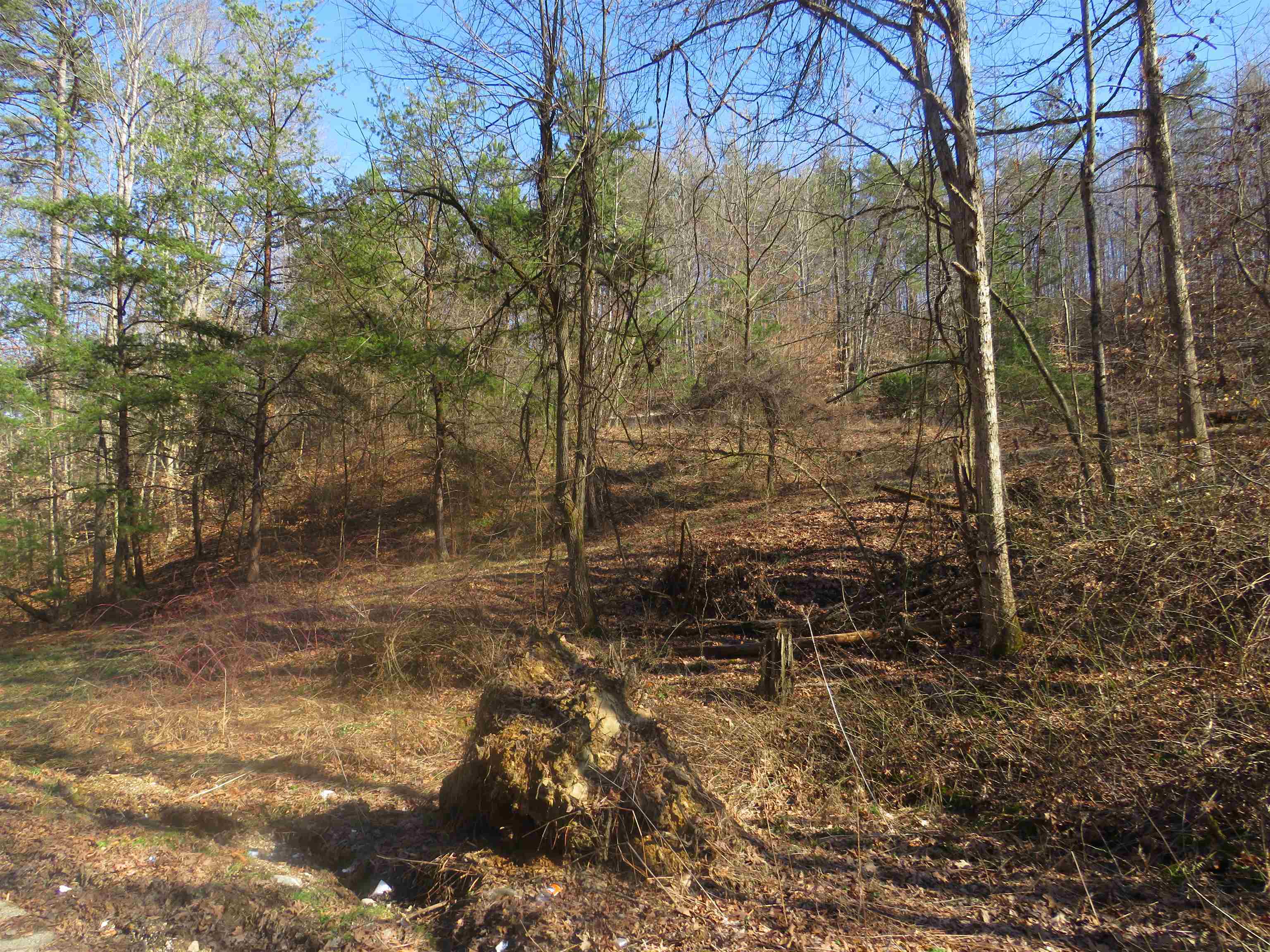 63 Frazier Road Olive Hill, KY 41164 - Photo 5 of 9