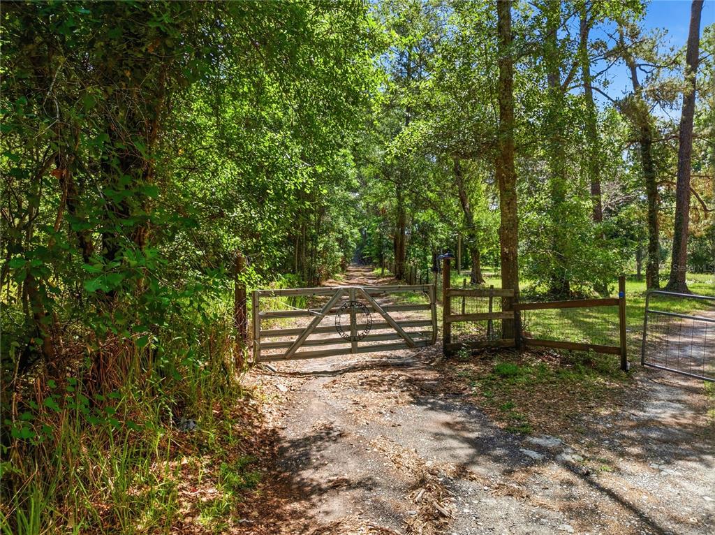 a view of a park with large trees