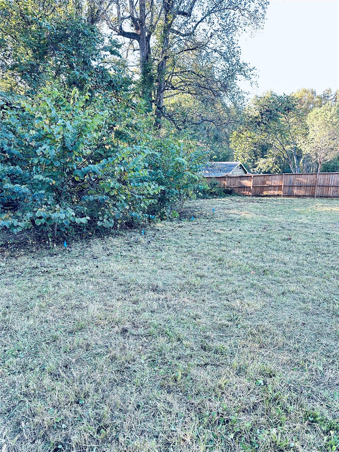 a view of outdoor space and yard