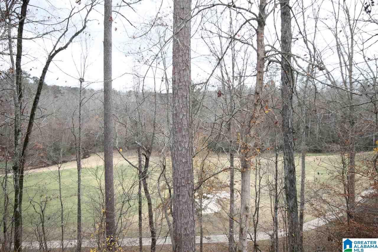 44 Red Rome Road Anniston, AL 36203 - Photo 34 of 38