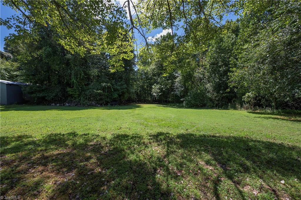 541 Lewisville Vienna Road Lewisville, NC 27023 - Photo 25 of 26 Backyard
