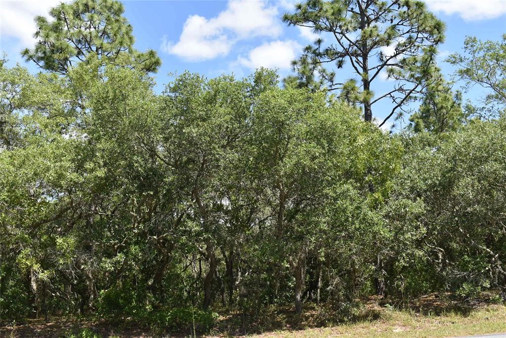 3914 North Longvalley Road Hernando, FL 34442 - Photo 1 of 1 Gallery Image 1