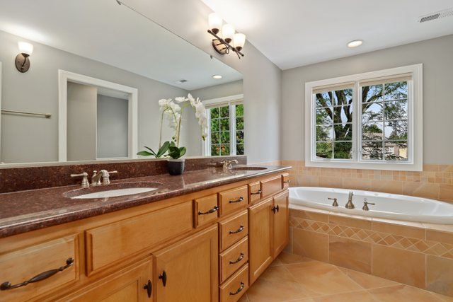 1032 South Spring Avenue La Grange, IL 60525 - Photo 18 of 44 a bathroom with a double vanity sink bathtub and next to a window