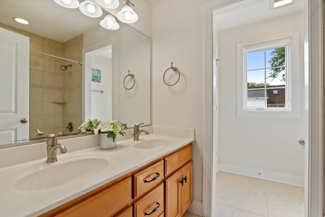1032 South Spring Avenue La Grange, IL 60525 - Photo 26 of 44 a bathroom with a sink and a mirror