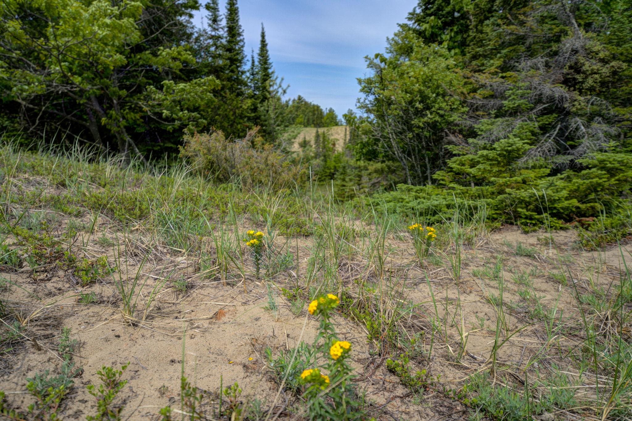 3312 Old State Road Frankfort, MI 49635 - Photo 75 of 85