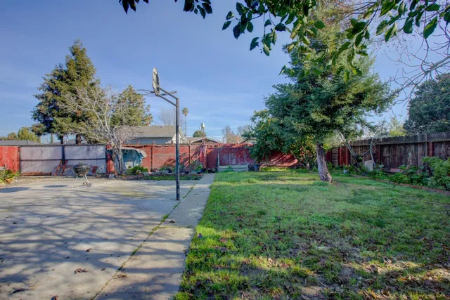 a view of a backyard with a garden and plants