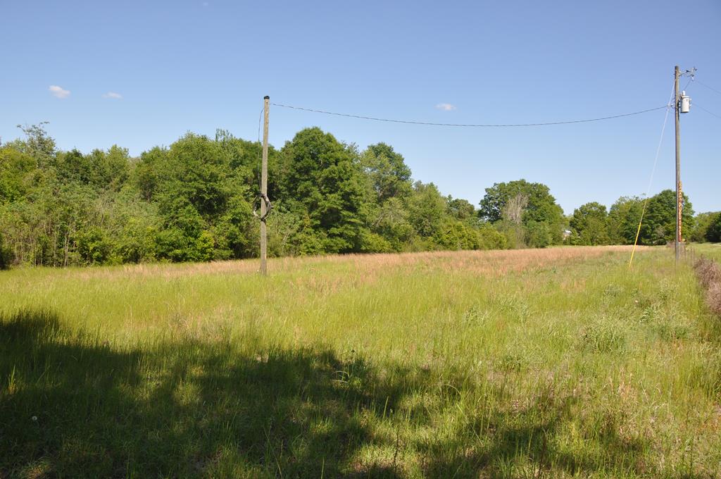 910 Holley Mill Road Samson, AL 36477 - Photo 54 of 58 Looking back over the acreage.