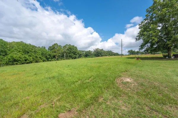 a backyard of a house with lots of green space