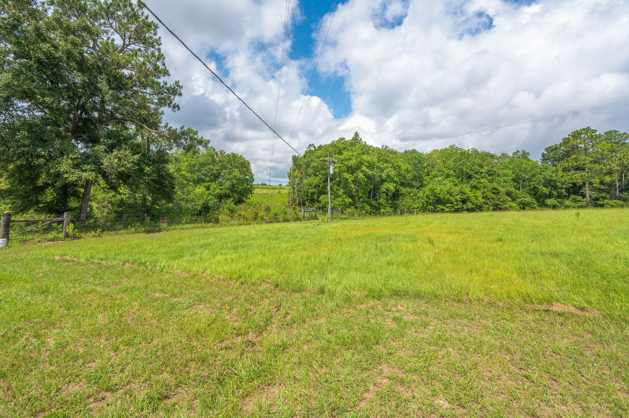 2685 Prescott Road Florala, AL 36442 - Photo 14 of 34 a view of a green field with wooden fence