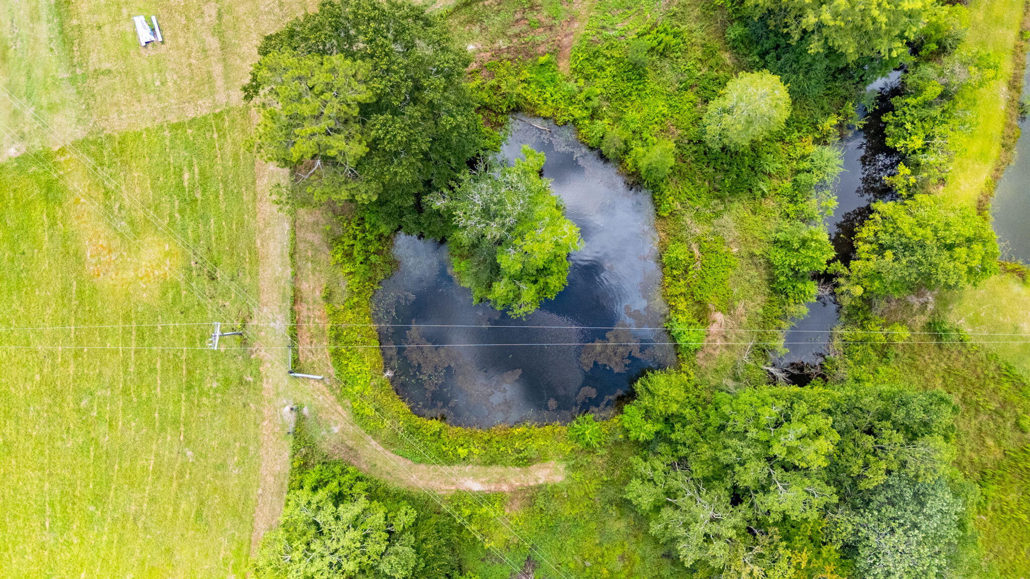 2685 Prescott Road Florala, AL 36442 - Photo 17 of 34