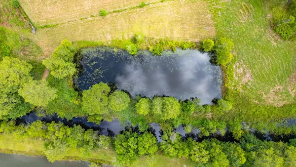 a view of a lake view with a garden