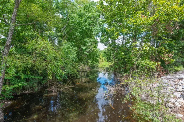 a view of a big yard with large trees