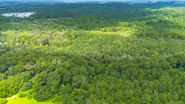 a view of a big yard with large trees