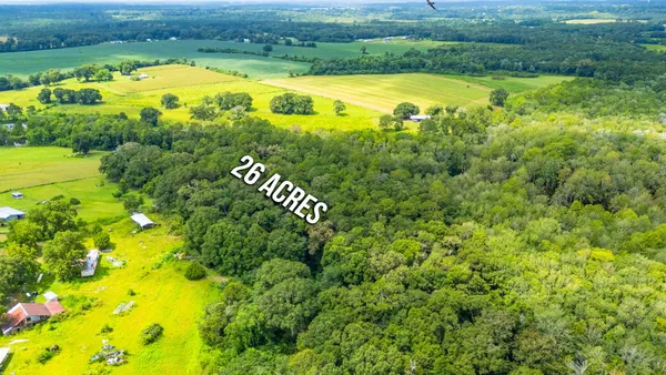 a view of a field with an ocean view