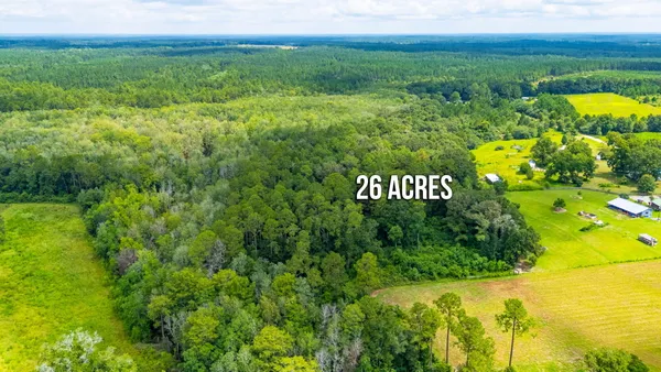 a view of a field with an trees