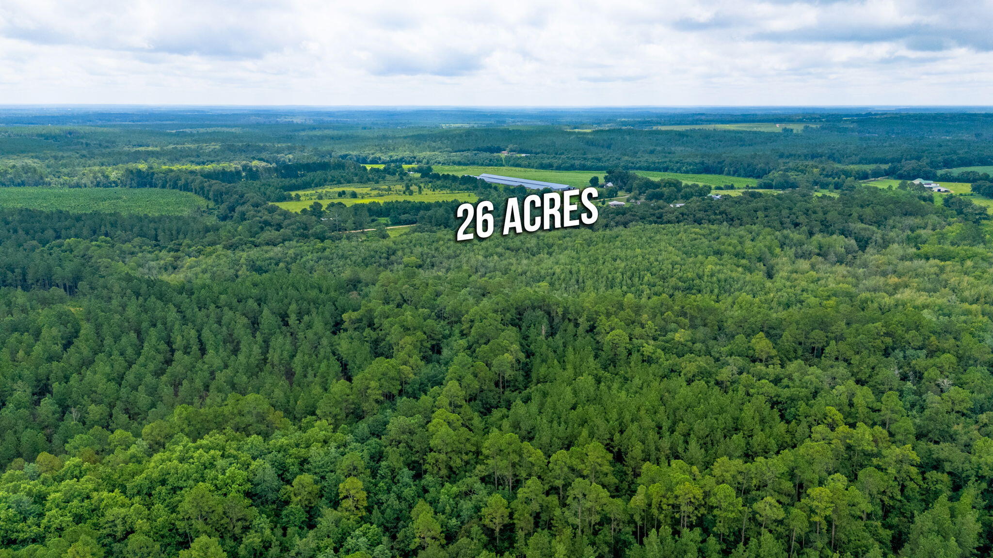 2685 Prescott Road Florala, AL 36442 - Photo 32 of 34 a view of a field with an trees
