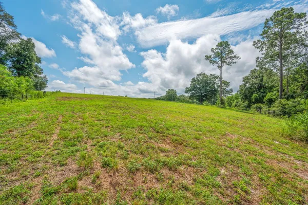 a view of a big yard with lots of green space