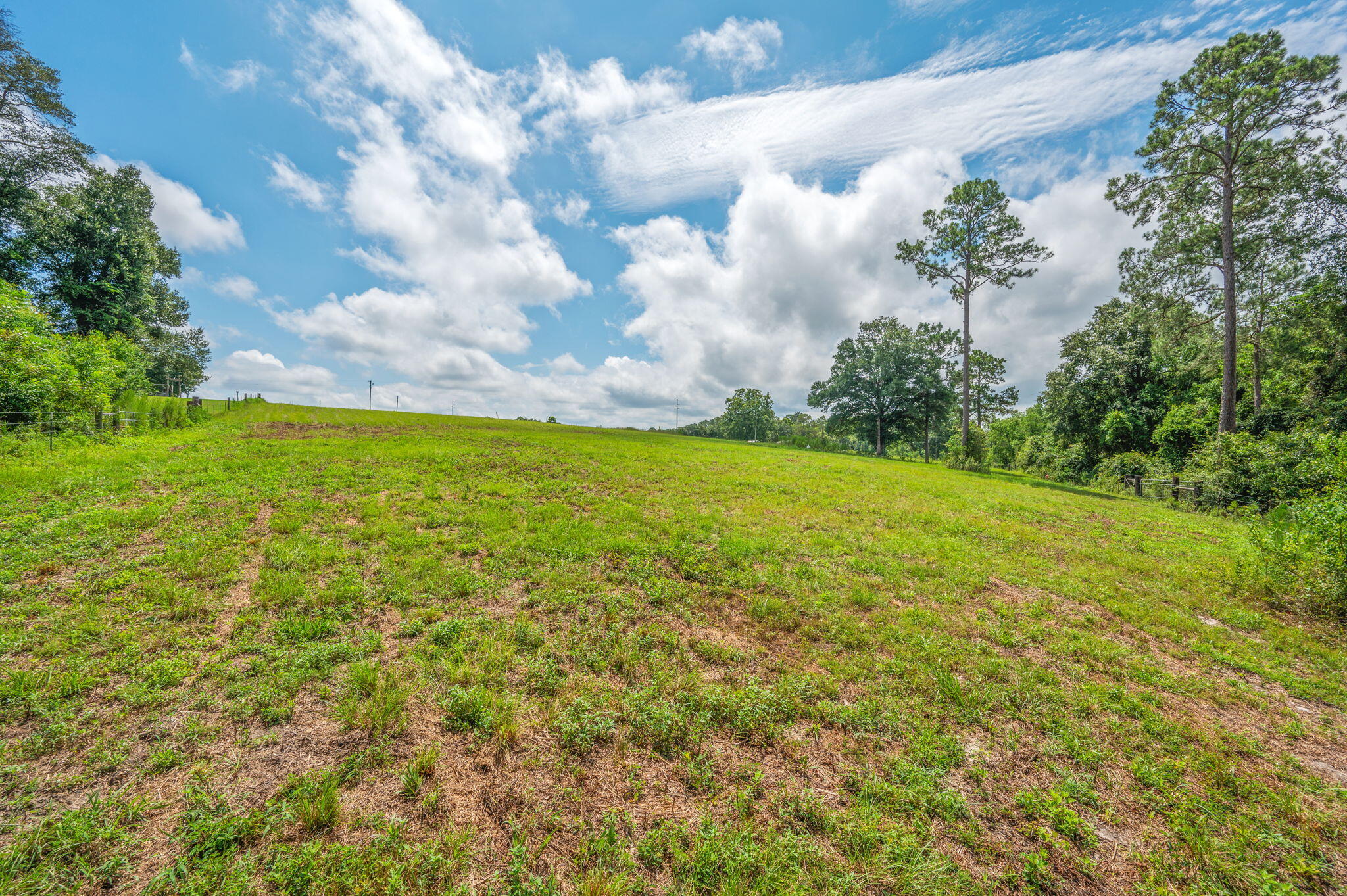 2685 Prescott Road Florala, AL 36442 - Photo 4 of 34 a view of a big yard with lots of green space