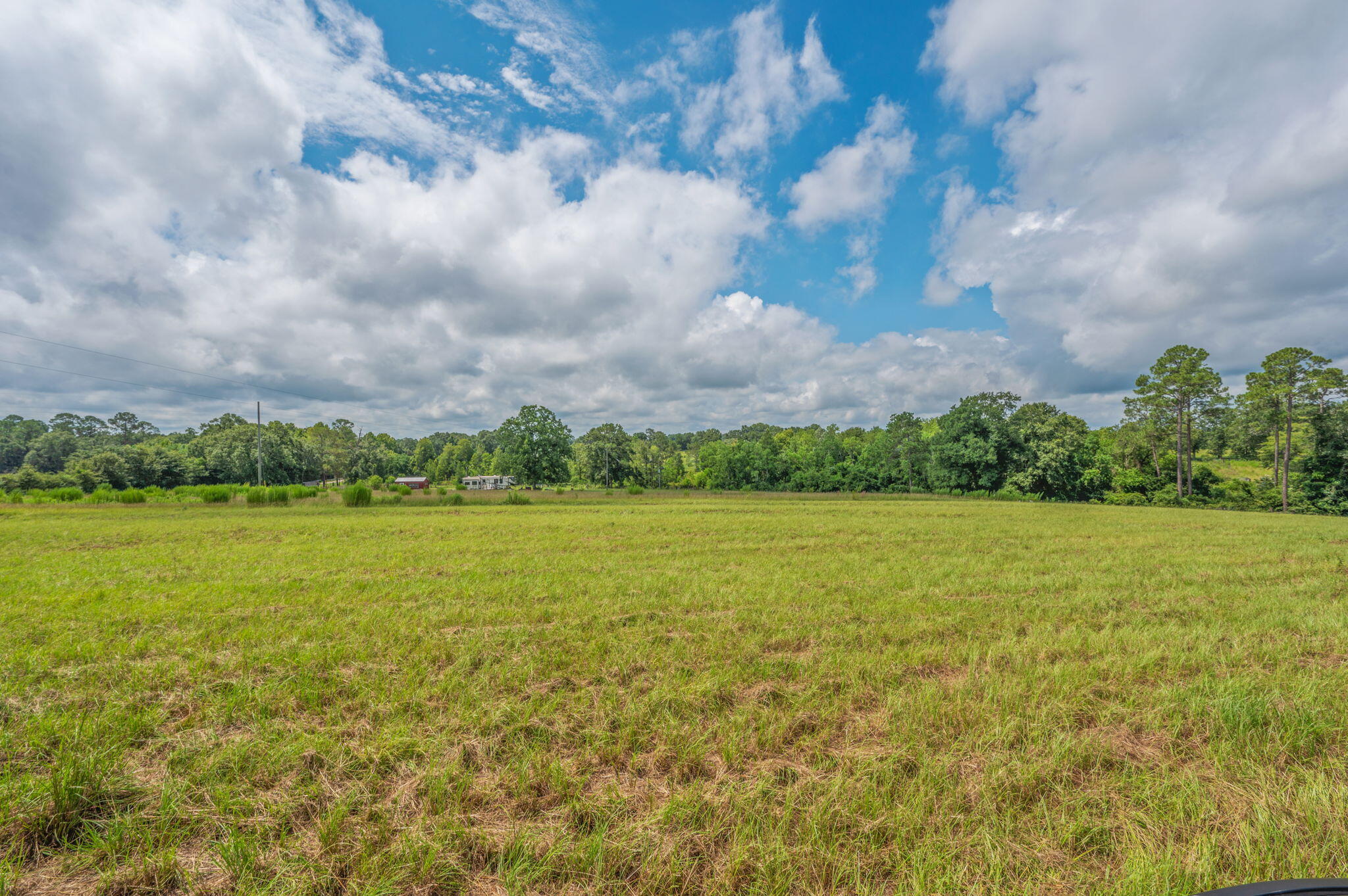 2685 Prescott Road Florala, AL 36442 - Photo 5 of 34 a view of an ocean