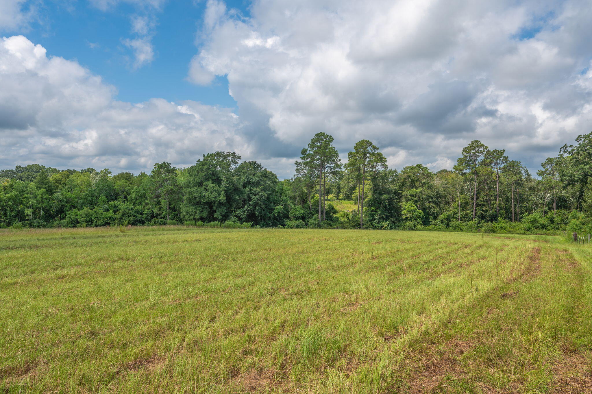 2685 Prescott Road Florala, AL 36442 - Photo 10 of 34 a view of outdoor space and yard
