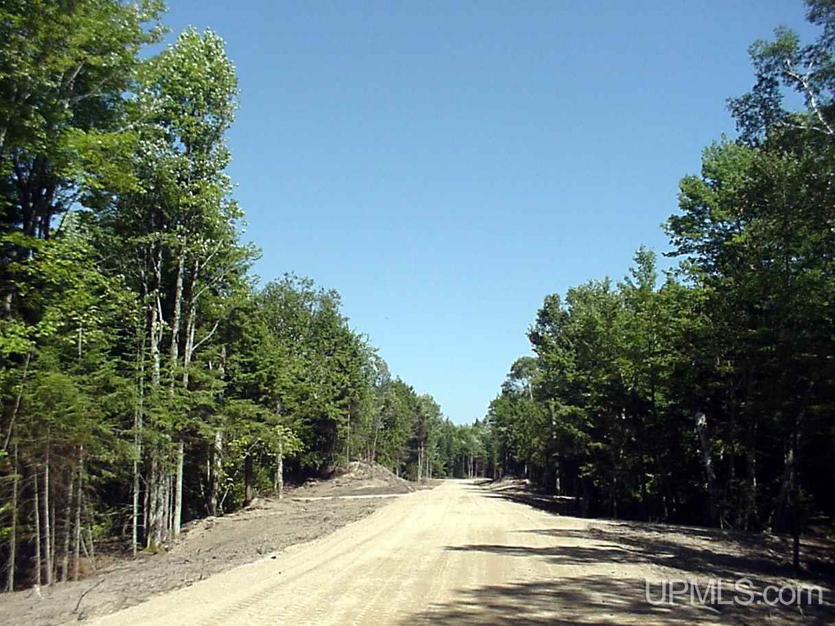 Tbd Hemlock Views Trail, Unit 10 Manistique, MI 49854 - Photo 3 of 10
