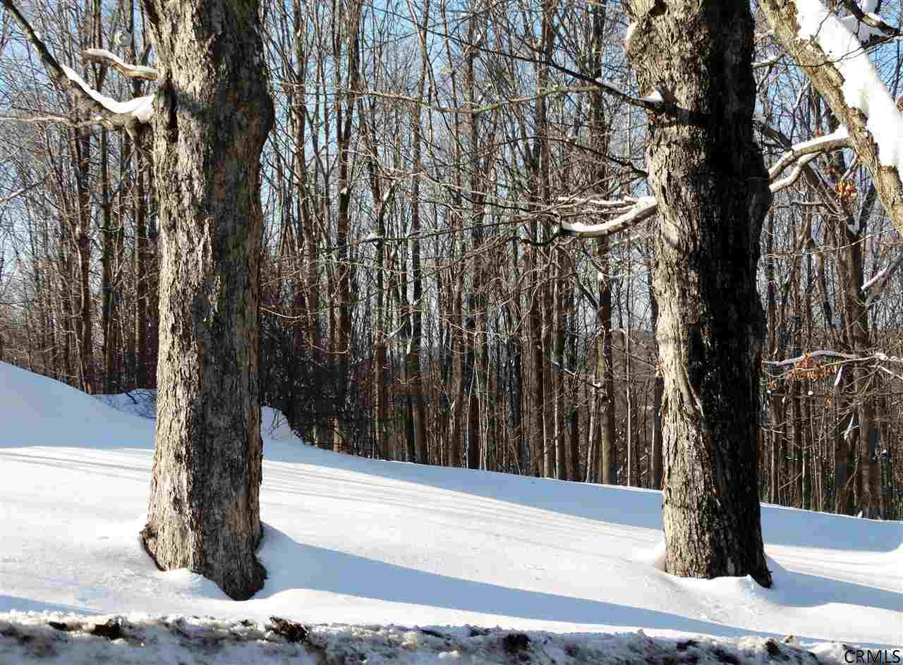 157 Catlin Road Poestenkill, NY 12018 - Photo 6 of 7 Photo 6