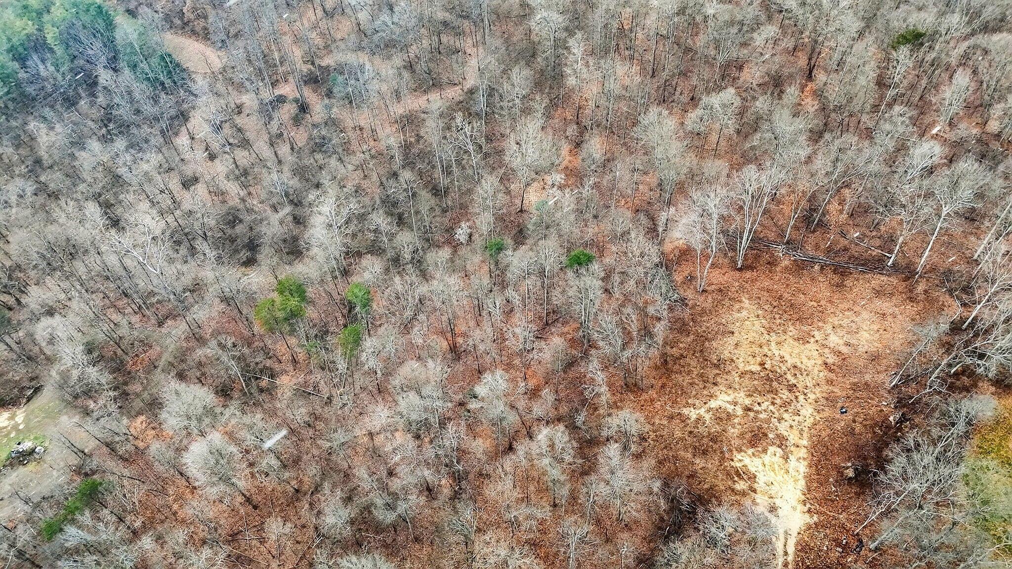 3133 4 Mile Road Jackson, OH 45640 - Photo 20 of 40 3133 Four Mile Rd 8