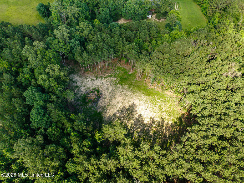 Trickhambridge Road Brandon, MS 39042 - Photo 15 of 30 dji_fly_20260610_164720_0195_17811286434