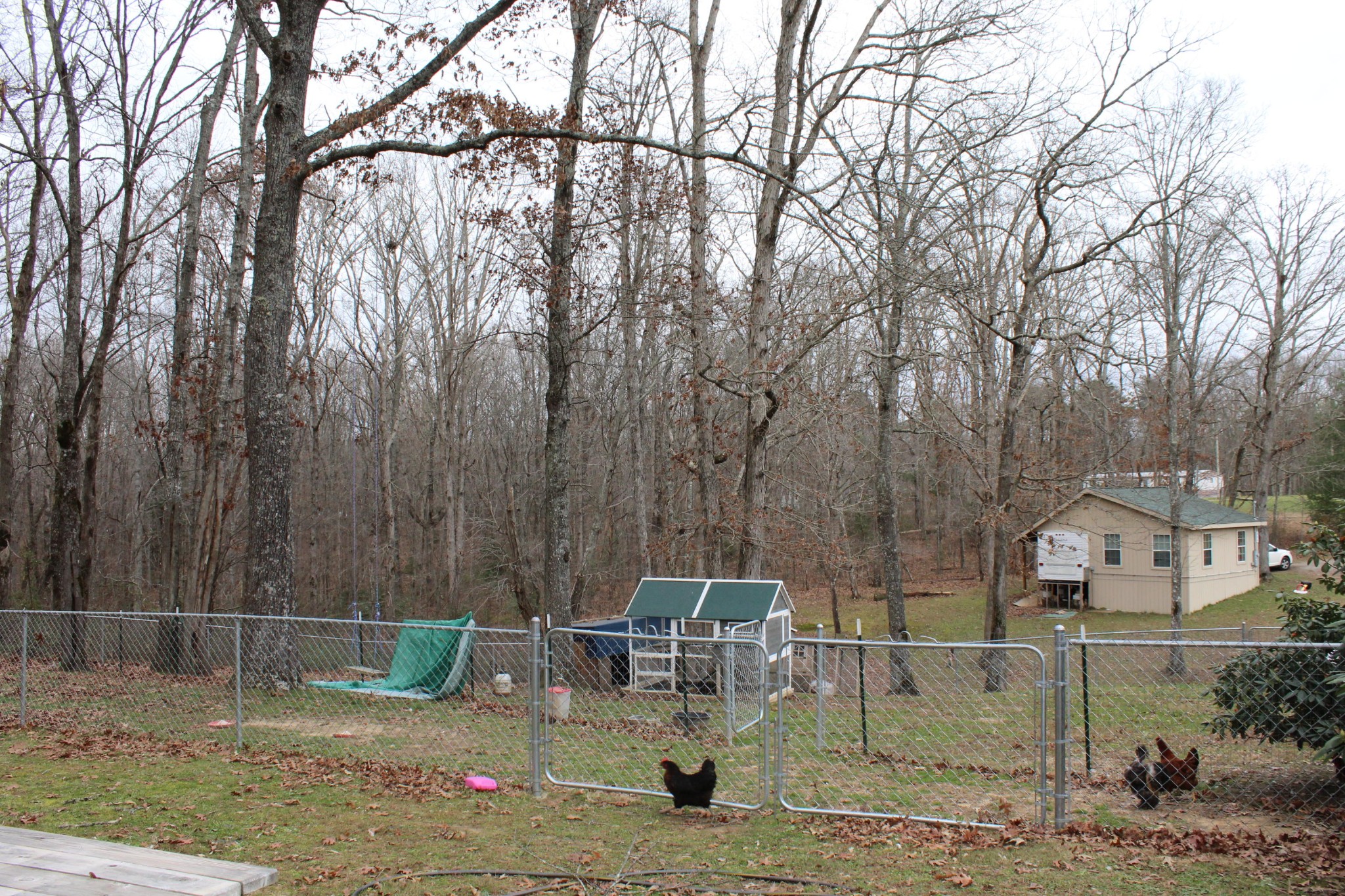 492 Midway Road Crossville, TN 38572 - Photo 36 of 40 Gallery Image 36
