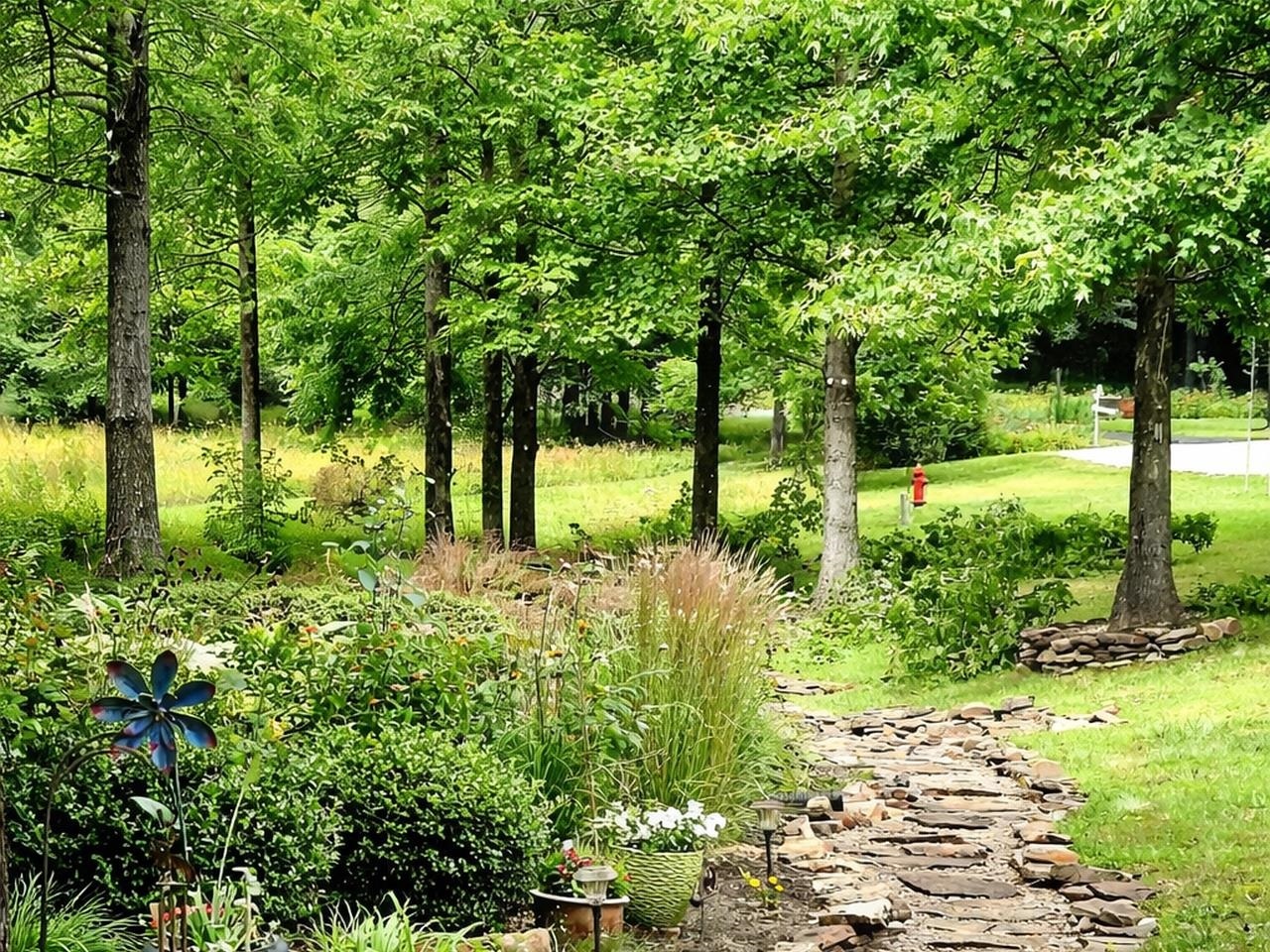 509 Logan Run Road Murphysboro, IL 62966 - Photo 13 of 17 a view of a garden with a tree