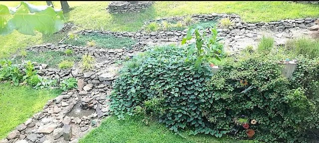 $89,000 | 509 Logan Run Road, Murphysboro, IL 62966