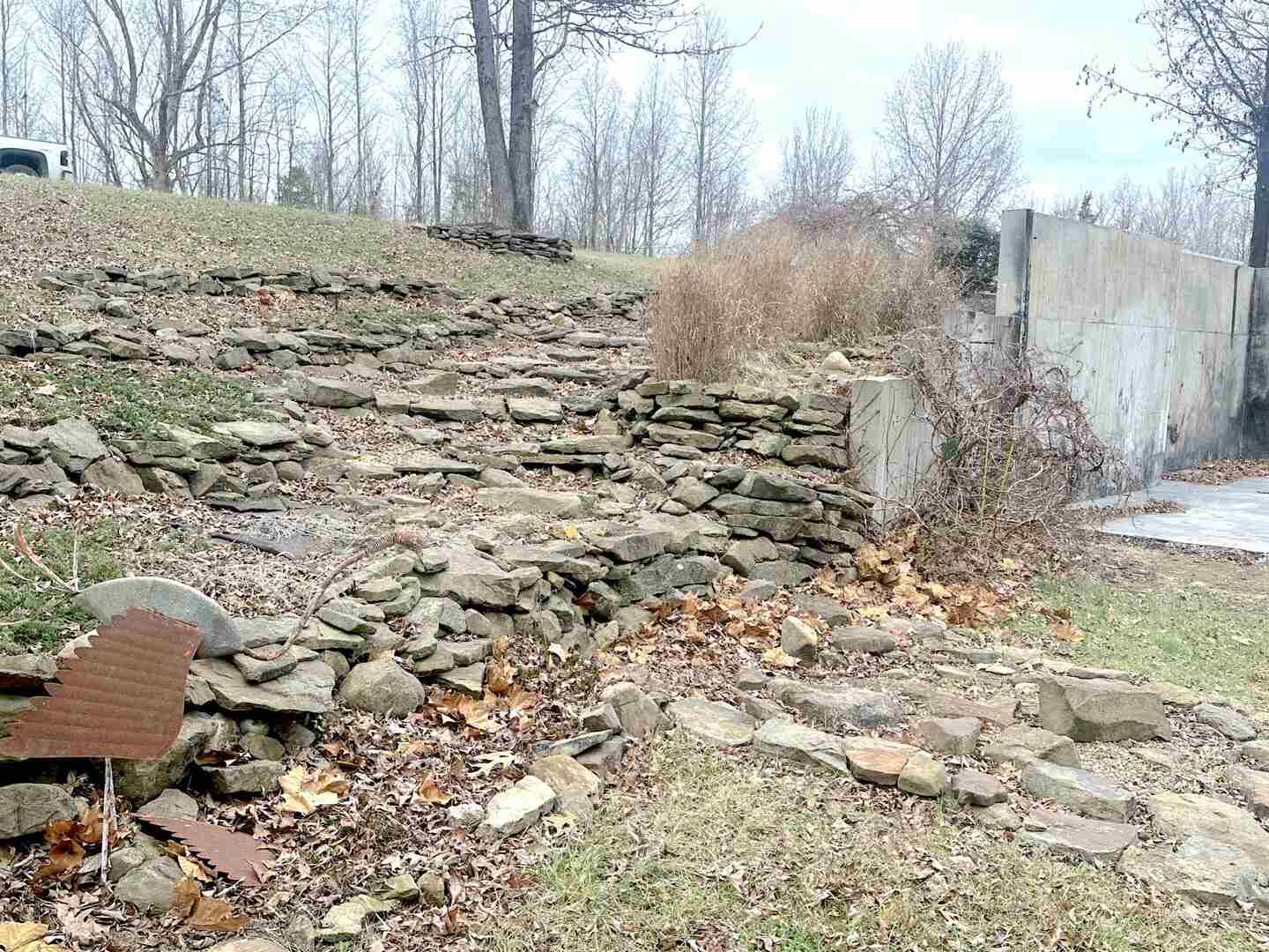 509 Logan Run Road Murphysboro, IL 62966 - Photo 9 of 17 a view of a backyard of a house